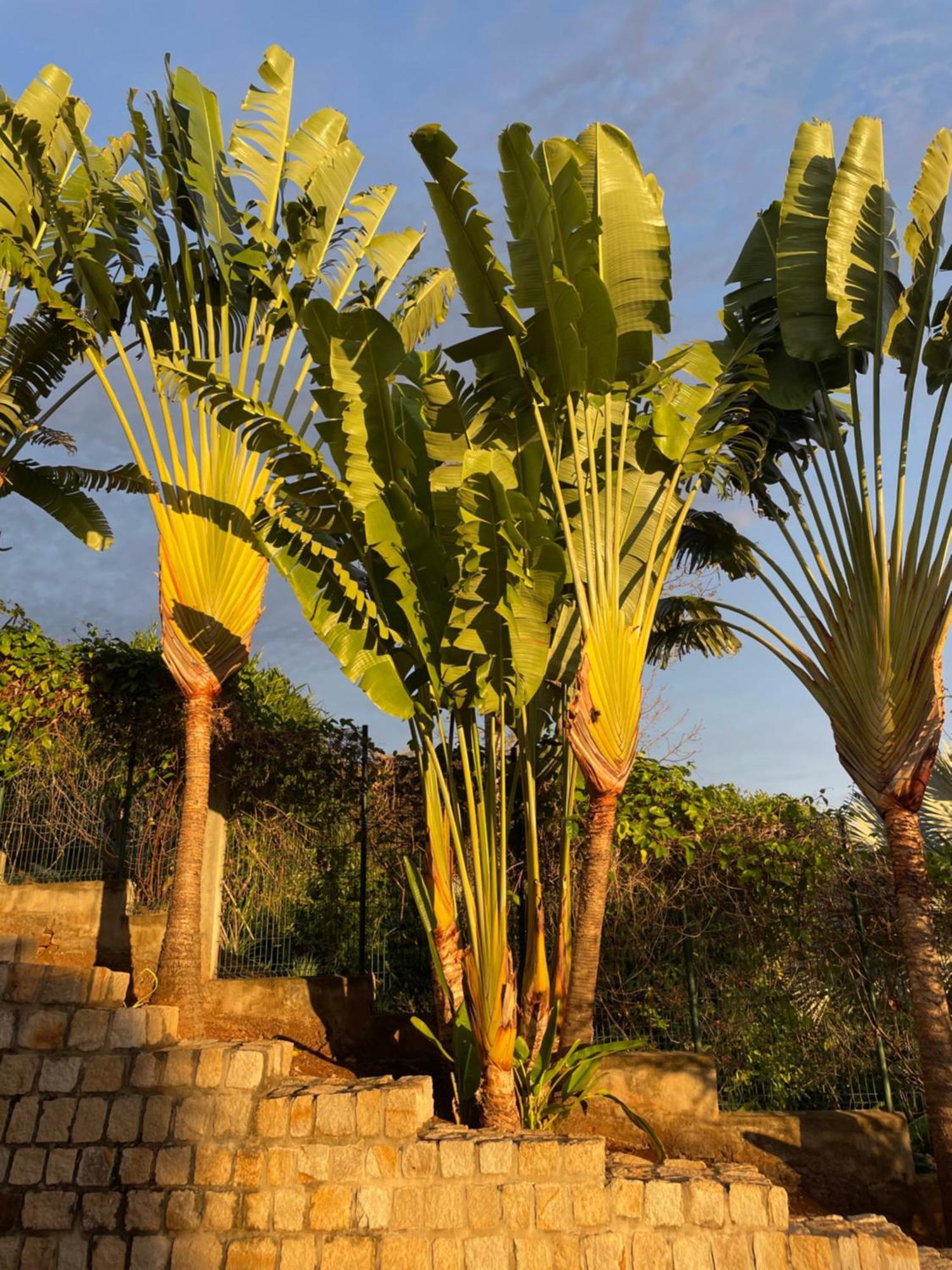 אנדילאנה Lodges Cap Dore מראה חיצוני תמונה